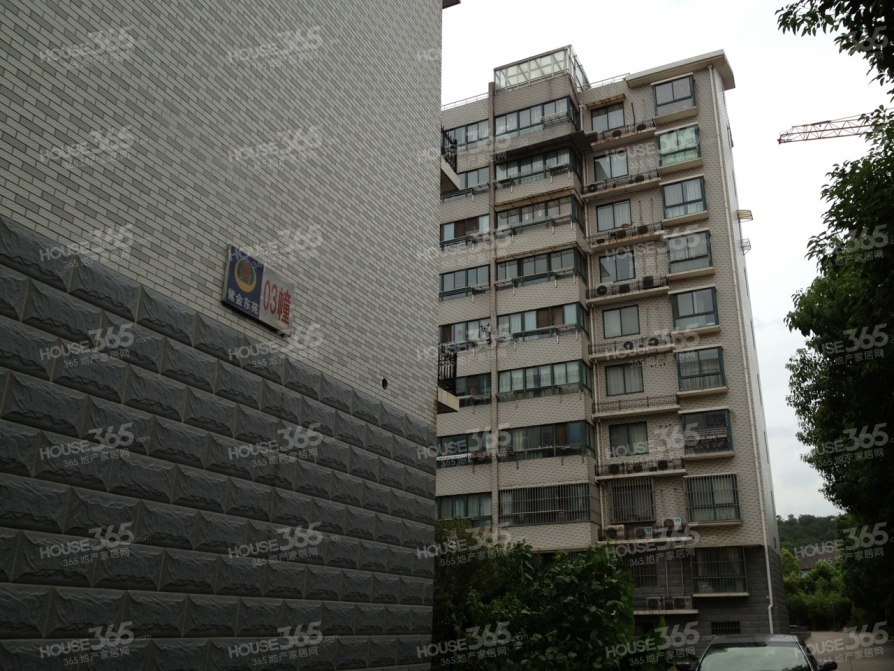 紫金东苑3室1厅1卫20㎡合租不限男女简装