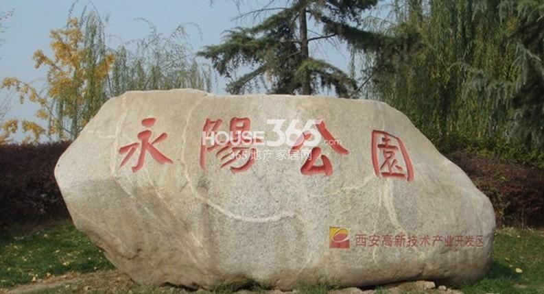 兰斯塔德地区的城市格局
